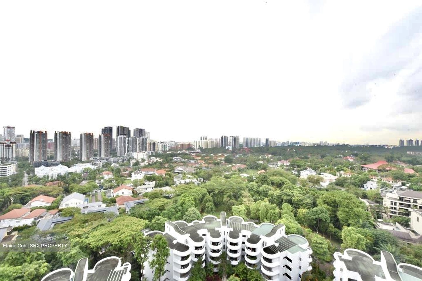 Regency Park (D10), Condominium #393993191